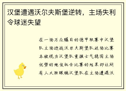 汉堡遭遇沃尔夫斯堡逆转，主场失利令球迷失望