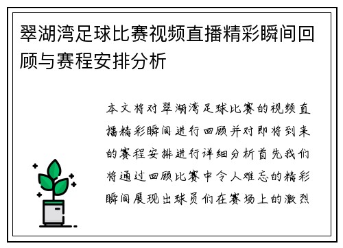 翠湖湾足球比赛视频直播精彩瞬间回顾与赛程安排分析